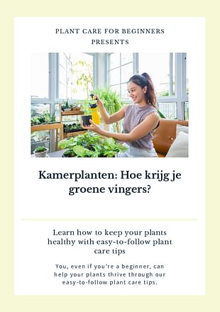 Kamerplanten: Hoe krijg je groene vingers?