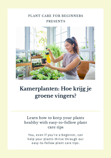 Kamerplanten: Hoe krijg je groene vingers?