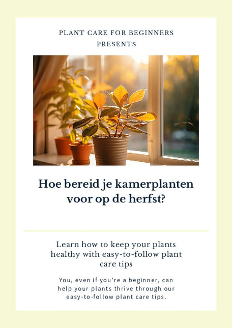 Hoe bereid je kamerplanten voor op de herfst?