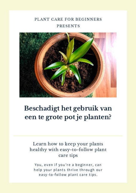 Beschadigt het gebruik van een te grote pot je planten?