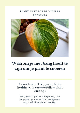 Kamerplanten snoeien: Waarom je niet bang hoeft zijn om het te doen