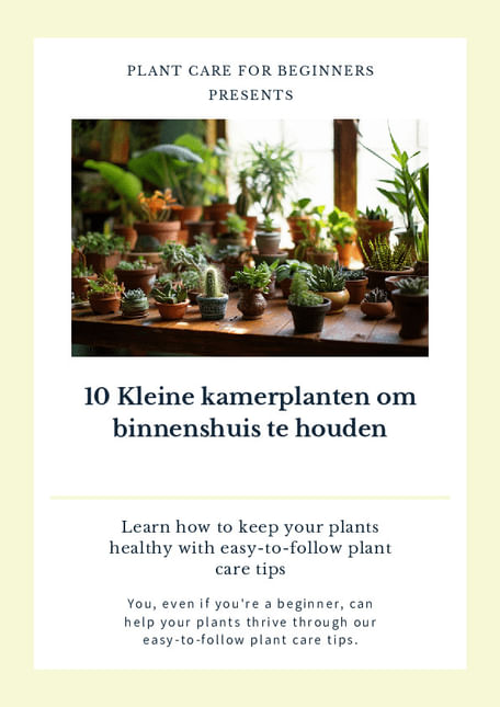 10 Kleine kamerplanten om binnenshuis te houden