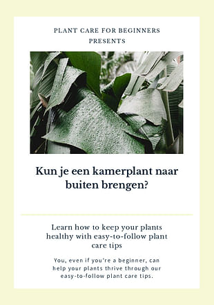 Kun je een kamerplant naar buiten brengen?