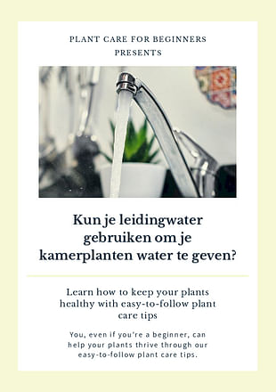 Kun je leidingwater gebruiken om je kamerplanten water te geven?