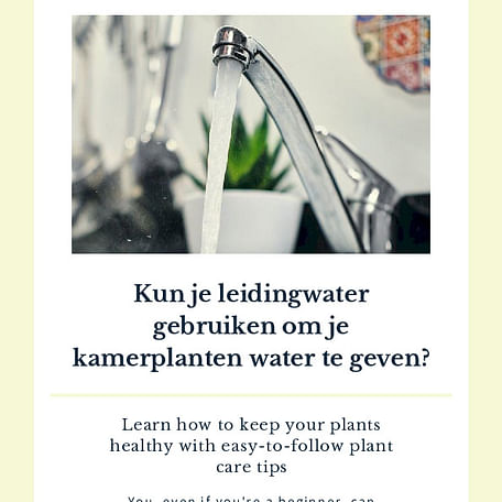 Kun je leidingwater gebruiken om je kamerplanten water te geven?