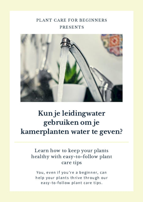 Kun je leidingwater gebruiken om je kamerplanten water te geven?