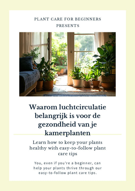 Waarom luchtcirculatie belangrijk is voor de gezondheid van je kamerplanten