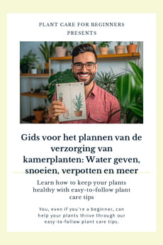 Gids voor het plannen van de verzorging van kamerplanten: Water geven, snoeien, verpotten en meer
