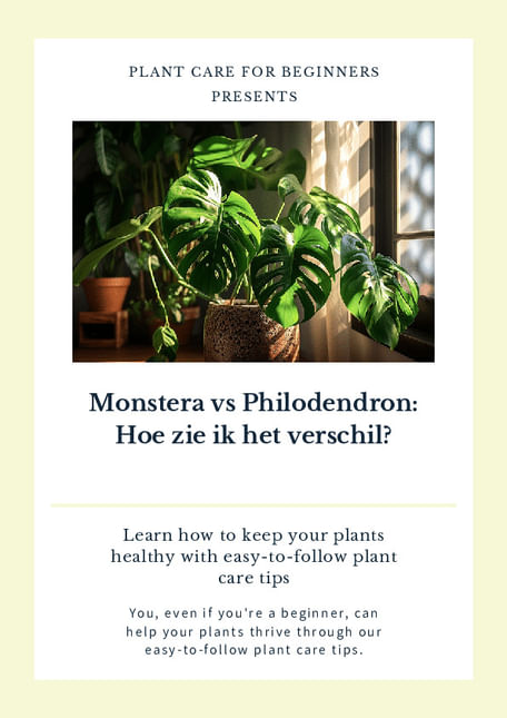 Monstera vs Philodendron: Hoe zie ik het verschil?