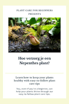Hoe verzorg je een Nepenthes plant?