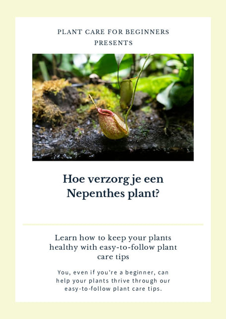 Hoe verzorg je een Nepenthes plant?