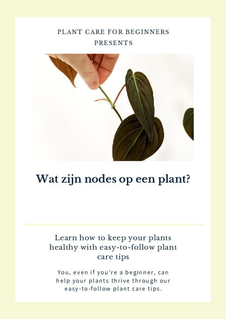 Wat zijn nodes op een plant?