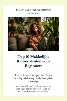 Top 10 Makkelijke Kamerplanten voor Beginners