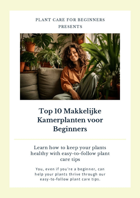 Top 10 Makkelijke Kamerplanten voor Beginners