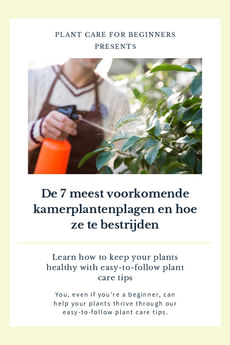 De 7 meest voorkomende kamerplantenplagen en hoe ze te bestrijden