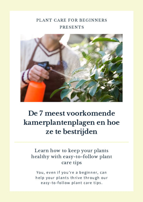 De 7 meest voorkomende kamerplantenplagen en hoe ze te bestrijden