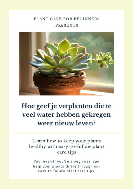 Hoe geef je vetplanten die te veel water hebben gekregen weer nieuw leven?
