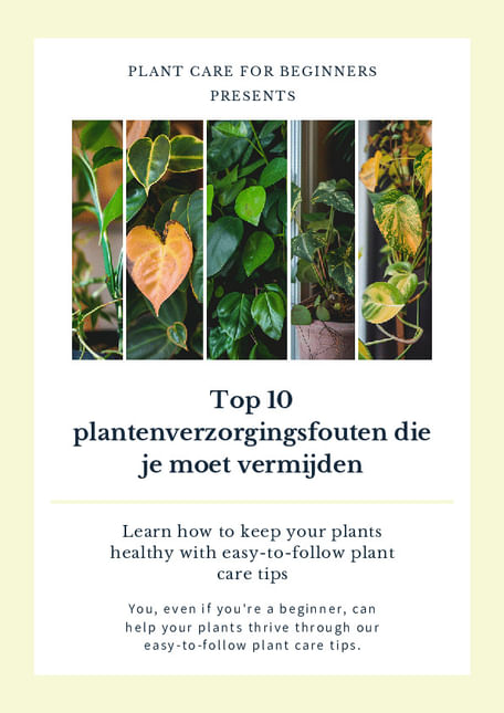 Top 10 plantenverzorgingsfouten die je moet vermijden