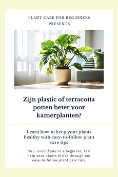 Zijn plastic of terracotta potten beter voor kamerplanten?