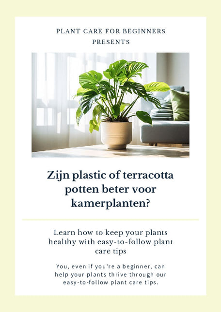 Zijn plastic of terracotta potten beter voor kamerplanten?