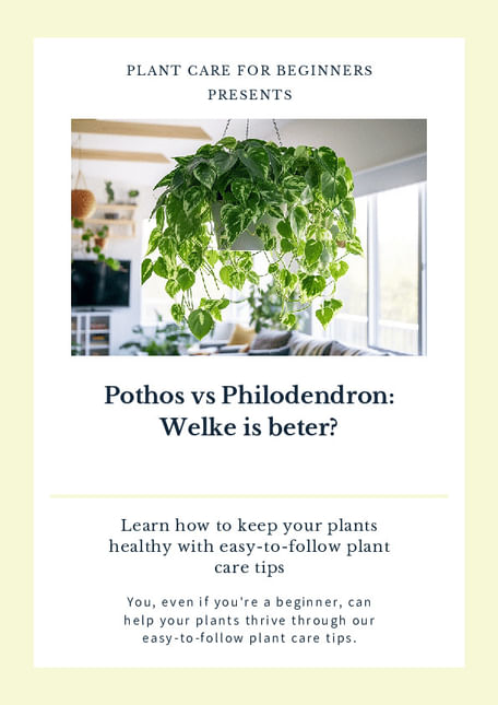Pothos vs Philodendron: Welke is beter?