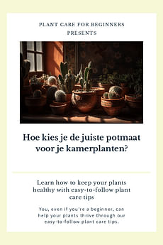 Hoe kies je de juiste potmaat voor je kamerplanten?