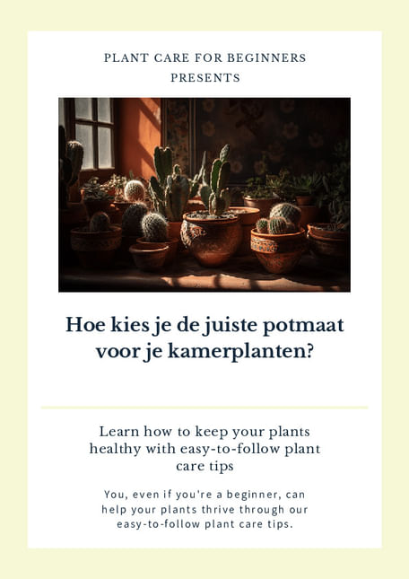 Hoe kies je de juiste potmaat voor je kamerplanten?