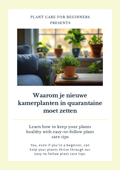 Waarom je nieuwe kamerplanten in quarantaine moet zetten