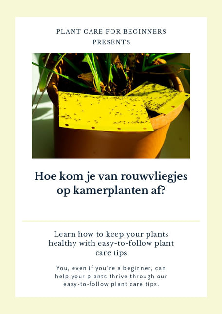 Hoe kom je van rouwvliegjes op kamerplanten af?