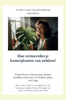 Hoe vermeerder je kamerplanten van stekken?