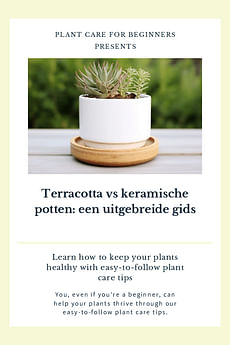 Terracotta vs keramische potten: een uitgebreide gids