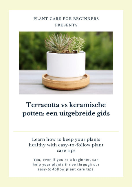 Terracotta vs keramische potten: een uitgebreide gids