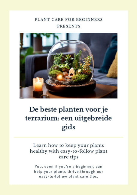 De beste planten voor je terrarium: een uitgebreide gids