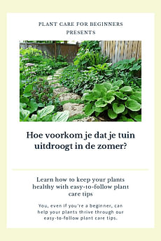 Hoe voorkom je dat je tuin uitdroogt in de zomer?
