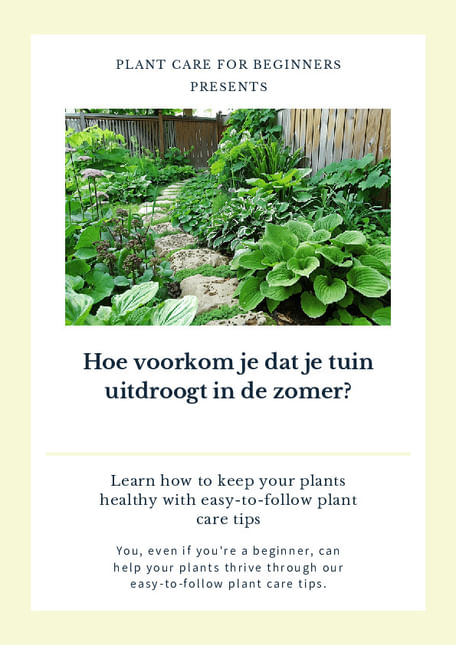 Hoe voorkom je dat je tuin uitdroogt in de zomer?