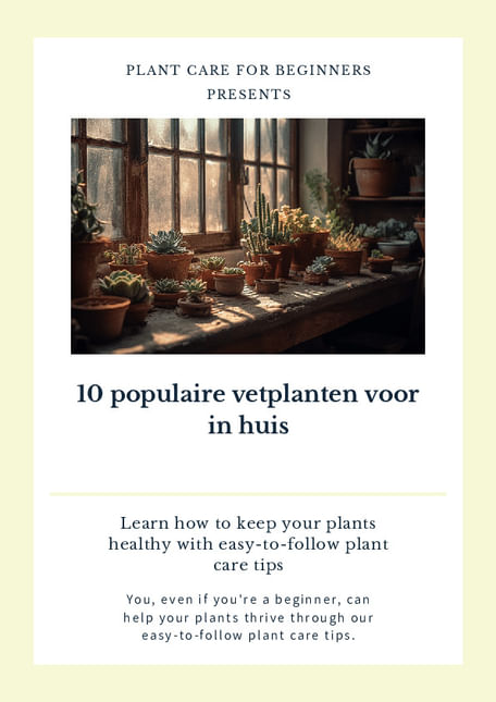 10 populaire vetplanten voor in huis