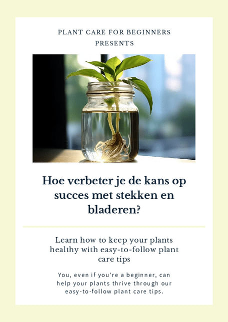 Hoe verbeter je de kans op succes met stekken en bladeren?