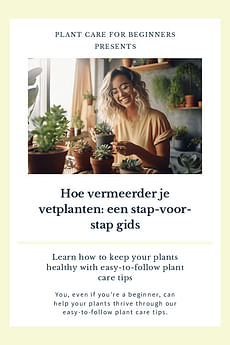 Hoe vermeerder je vetplanten: een stap-voor-stap gids
