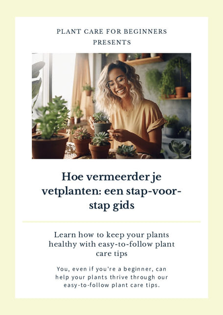 Hoe vermeerder je vetplanten: een stap-voor-stap gids