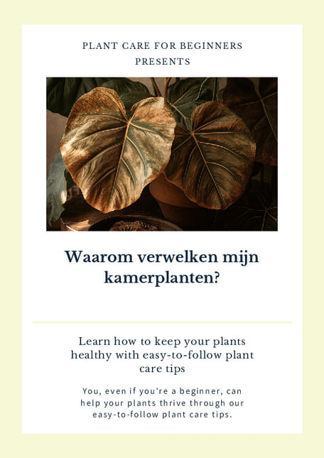 Waarom verwelken mijn kamerplanten?