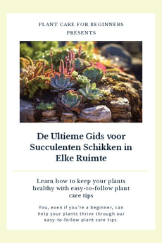 De Ultieme Gids voor Succulenten Schikken in Elke Ruimte