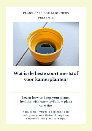 Wat is de beste soort voeding voor kamerplanten?