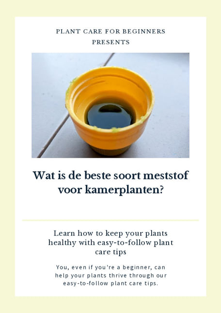 Wat is de beste soort voeding voor kamerplanten?