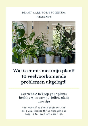 Wat is er mis met mijn plant? 10 veel voorkomende problemen uitgelegd!