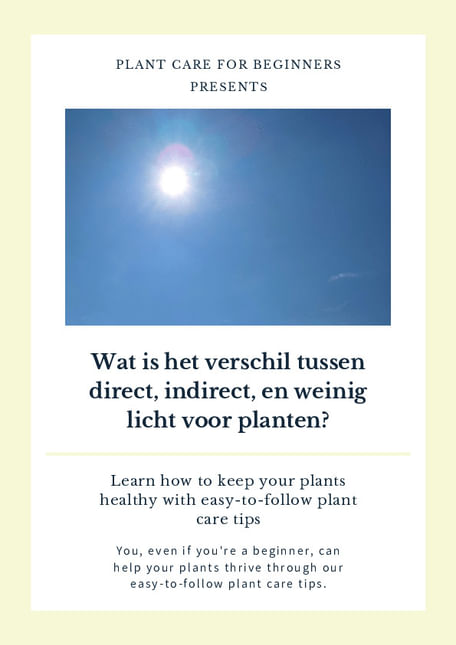 Wat is het verschil tussen direct, indirect, en weinig licht voor planten?