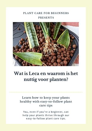 Wat is Leca en waarom is het nuttig voor planten?