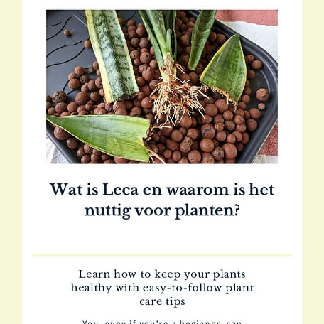 Wat is Leca en waarom is het nuttig voor planten?