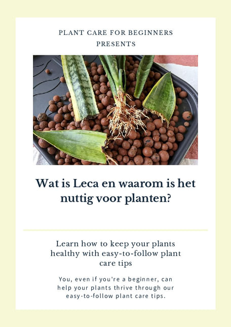 Wat is Leca en waarom is het nuttig voor planten?
