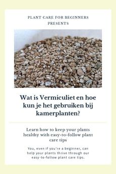 Wat is Vermiculiet en hoe kun je het gebruiken bij kamerplanten?