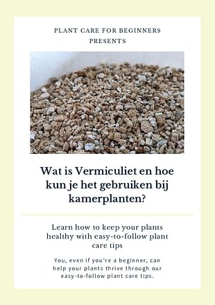 Wat is Vermiculiet en hoe kun je het gebruiken bij kamerplanten?